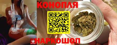 прущие грибы Ливны
