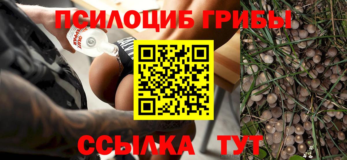 Псилоцибиновые грибы ЛСД Гусь-Хрустальный