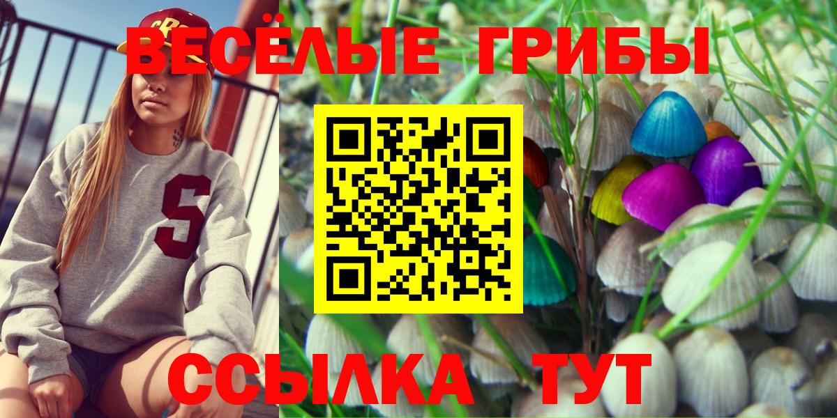 Галлюциногенные грибы Psilocybine cubensis  Вход с VPN  Галлюциногенные грибы прущие грибы  Гусь-Хрустальный 
